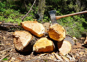Woodsman Cruiser